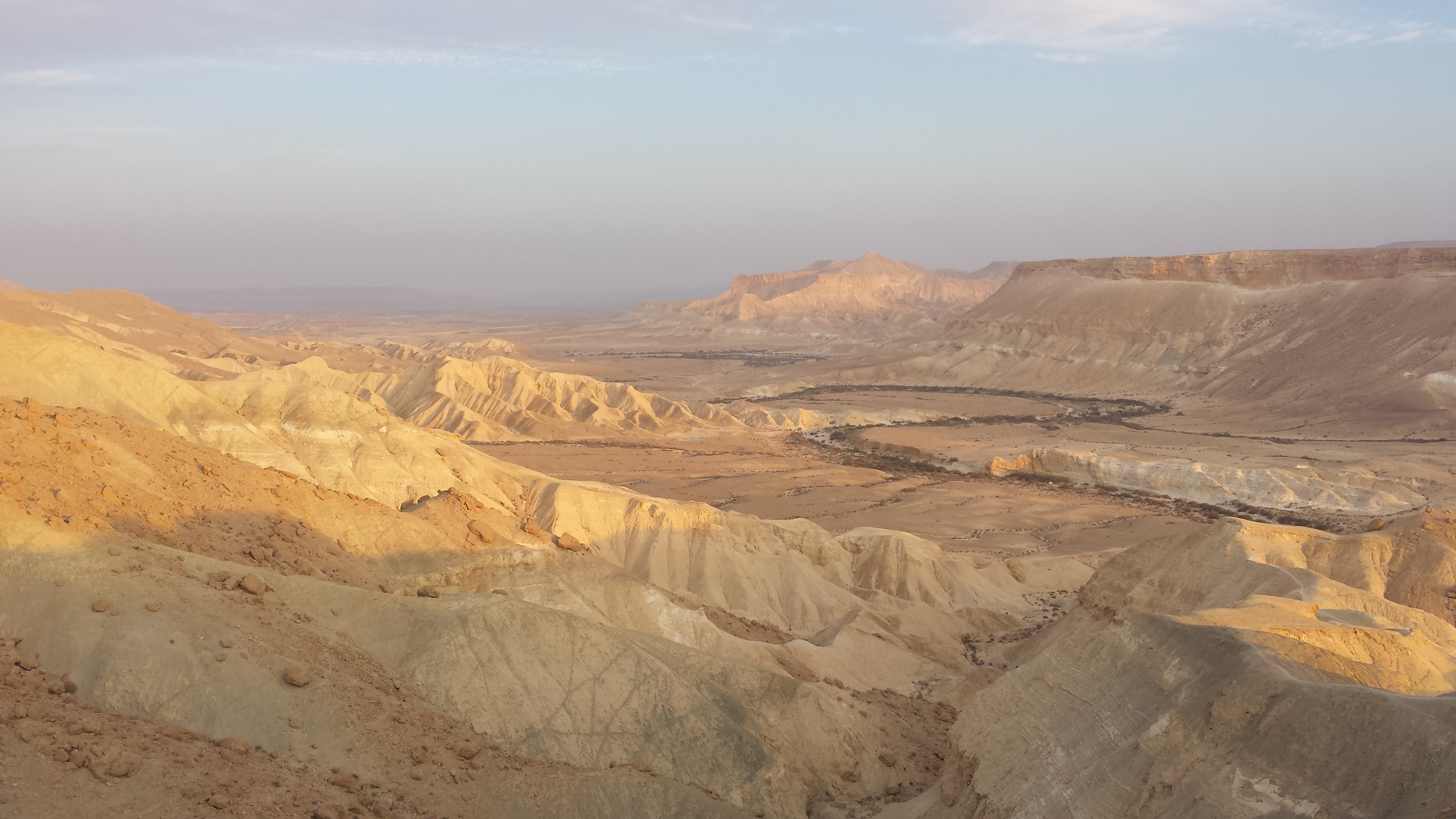 Wadi near Sede Boqr